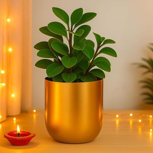 ecofynd 4.3 Inch Round Gold Metal Plant Pots for Garden