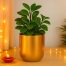 ecofynd 4.3 Inch Round Gold Metal Plant Pots for Garden