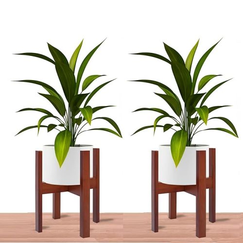 Brown Dime Store modern indoor planter stands holding succulents in a living room