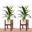 Brown Dime Store modern indoor planter stands holding succulents in a living room