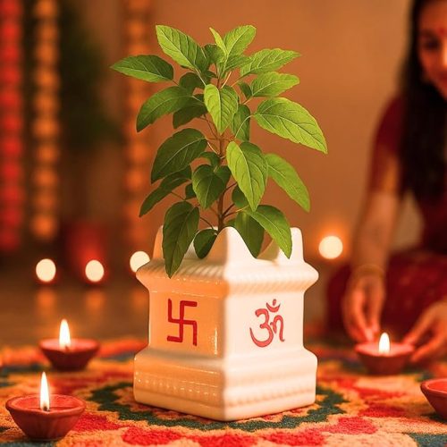 ecofynd 5-inch White Tulsi Ceramic Plant Pots Online