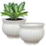 Heart Home Kanha Matki White Stylish Flower Pots Online