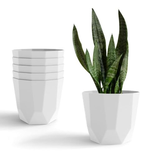YUCCABE 6-Piece White Hexagon Small Indoor Plant Pots