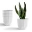 YUCCABE 6-Piece White Hexagon Small Indoor Plant Pots